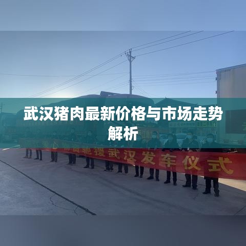武汉猪肉最新价格与市场走势解析