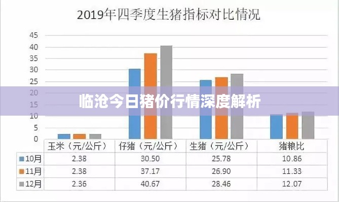 临沧今日猪价行情深度解析
