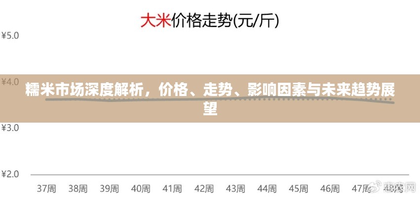 糯米市场深度解析，价格、走势、影响因素与未来趋势展望