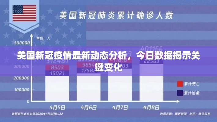 美国新冠疫情最新动态分析，今日数据揭示关键变化