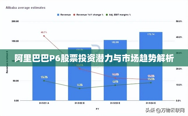 阿里巴巴P6股票投资潜力与市场趋势解析
