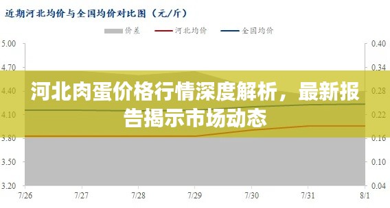 河北肉蛋价格行情深度解析，最新报告揭示市场动态
