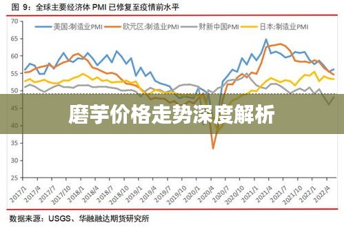 磨芋价格走势深度解析