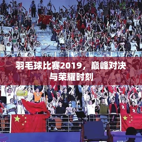 羽毛球比赛2019，巅峰对决与荣耀时刻