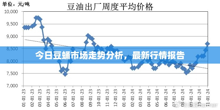 今日豆蛹市场走势分析，最新行情报告
