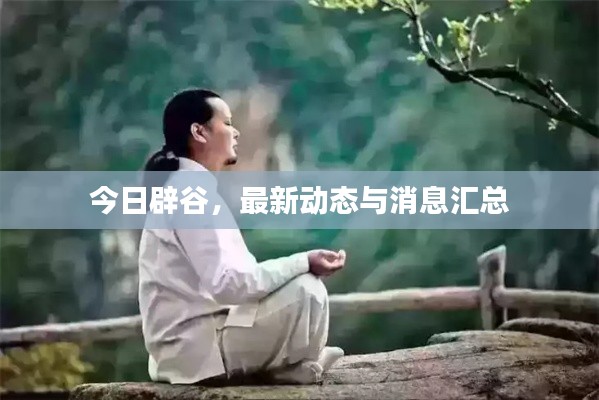 今日辟谷，最新动态与消息汇总