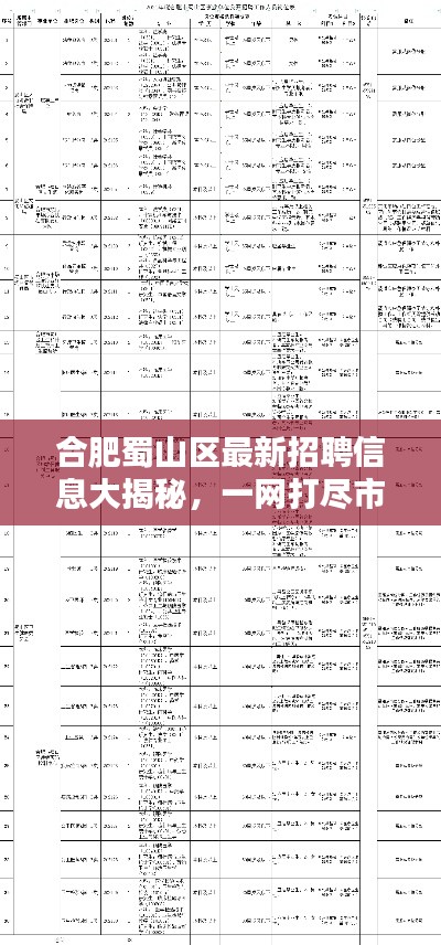 合肥蜀山区最新招聘信息大揭秘，一网打尽市区各大企业职位空缺