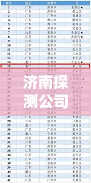 济南探测公司排名揭秘，专业权威的探测公司榜单出炉！