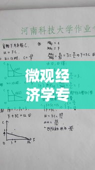 微观经济学专题论述题型，微观经济学期末考试论述题 