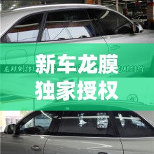 新车龙膜独家授权，龙膜受权店 