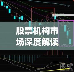 鸟声兽心 第2页