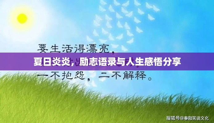 夏日炎炎，励志语录与人生感悟分享