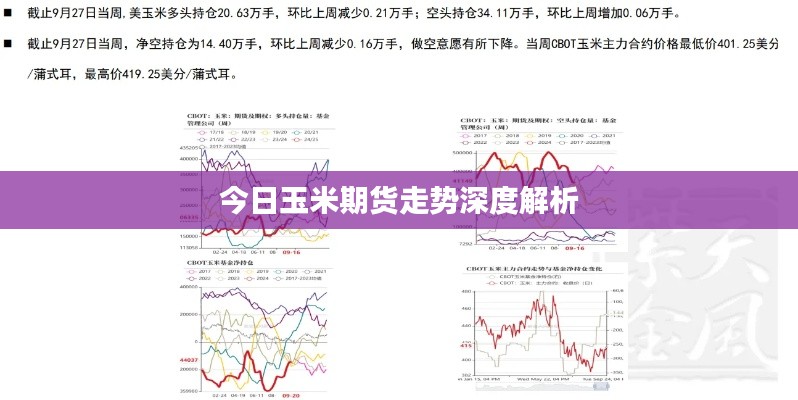 今日玉米期货走势深度解析