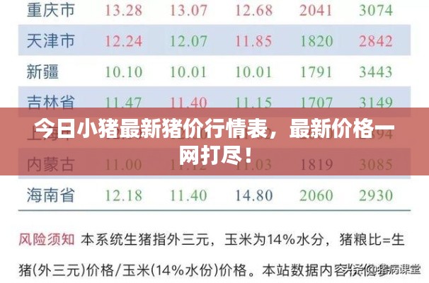 今日小猪最新猪价行情表，最新价格一网打尽！