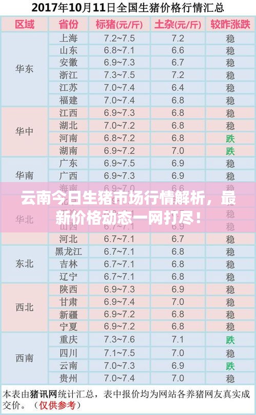 云南今日生猪市场行情解析，最新价格动态一网打尽！