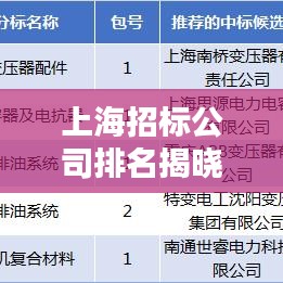 上海招标公司排名揭晓，行业影响力大揭秘！