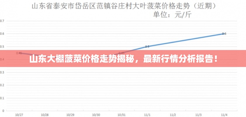 山东大棚菠菜价格走势揭秘，最新行情分析报告！