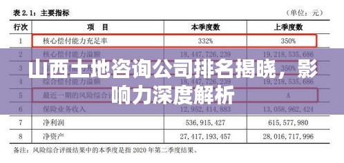 山西土地咨询公司排名揭晓，影响力深度解析