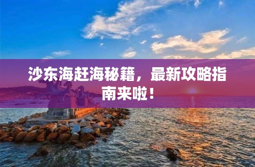 沙东海赶海秘籍，最新攻略指南来啦！