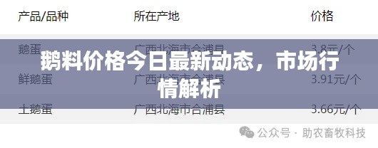 鹅料价格今日最新动态，市场行情解析