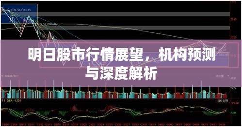 明日股市行情展望，机构预测与深度解析