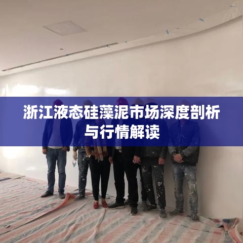 浙江液态硅藻泥市场深度剖析与行情解读