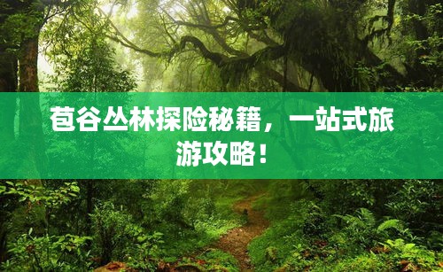 苞谷丛林探险秘籍，一站式旅游攻略！
