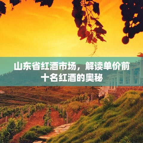 山东省红酒市场，解读单价前十名红酒的奥秘