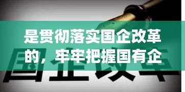 是贯彻落实国企改革的，牢牢把握国有企业改革的正确方向 