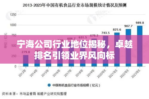 宁海公司行业地位揭秘，卓越排名引领业界风向标