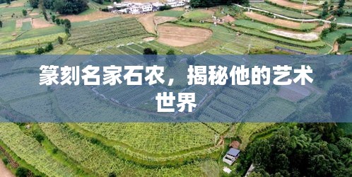 篆刻名家石农，揭秘他的艺术世界