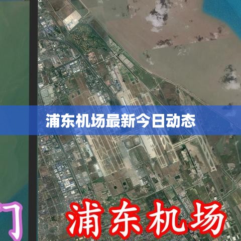 浦东机场最新今日动态
