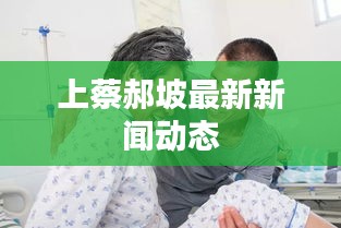 上蔡郝坡最新新闻动态