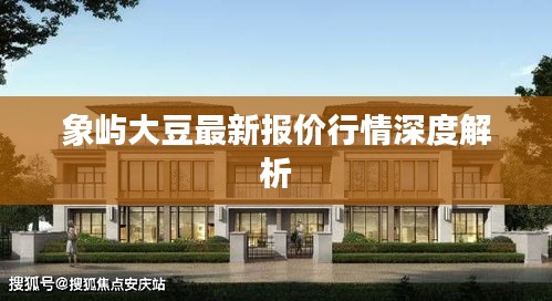 象屿大豆最新报价行情深度解析