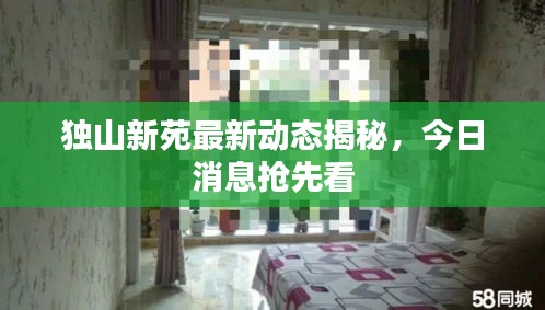 独山新苑最新动态揭秘，今日消息抢先看