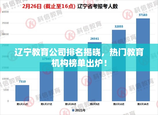 辽宁教育公司排名揭晓，热门教育机构榜单出炉！