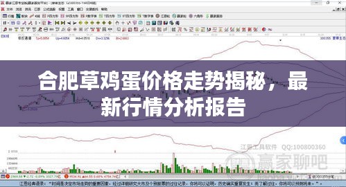 合肥草鸡蛋价格走势揭秘，最新行情分析报告