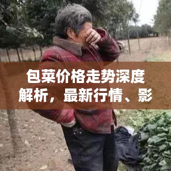 包菜价格走势深度解析，最新行情、影响因素及预测