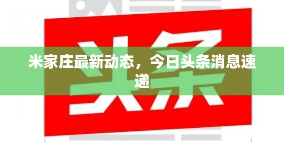 米家庄最新动态，今日头条消息速递