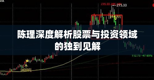 陈理深度解析股票与投资领域的独到见解