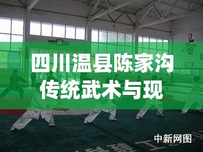 四川温县陈家沟传统武术与现代文化交融的最新新闻头条