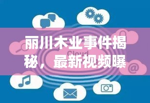 丽川木业事件揭秘，最新视频曝光，深度探究背后真相