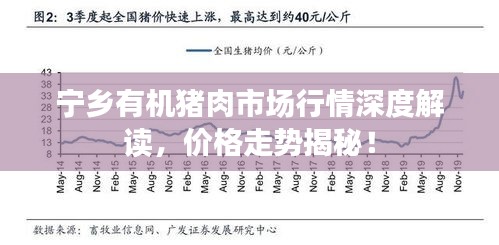 宁乡有机猪肉市场行情深度解读，价格走势揭秘！