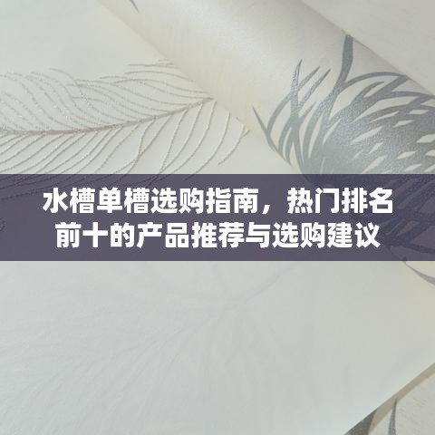 水槽单槽选购指南，热门排名前十的产品推荐与选购建议