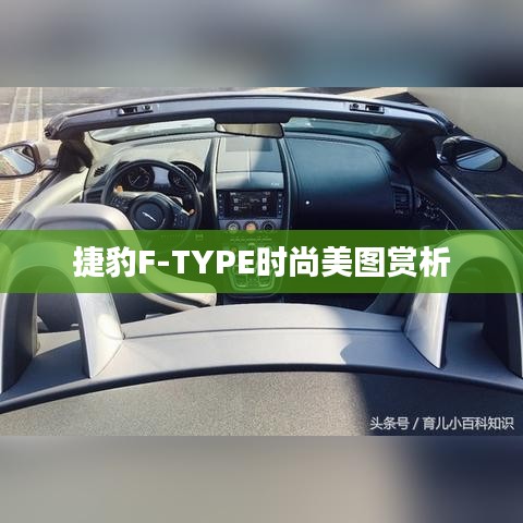 捷豹F-TYPE时尚美图赏析