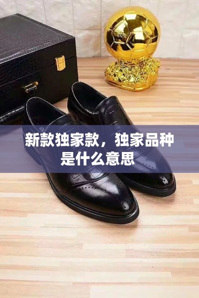 新款独家款，独家品种是什么意思 