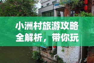 小洲村旅游攻略全解析，带你玩转这座魅力村落！