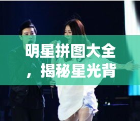 明星拼图大全，揭秘星光背后的精彩瞬间