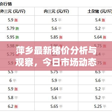 萍乡最新猪价分析与观察，今日市场动态揭秘