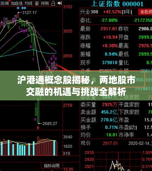 沪港通概念股揭秘，两地股市交融的机遇与挑战全解析